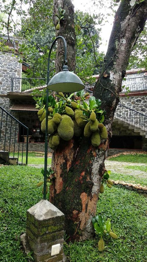 Wildernest Bed & Breakfast Thekkady Exterior photo