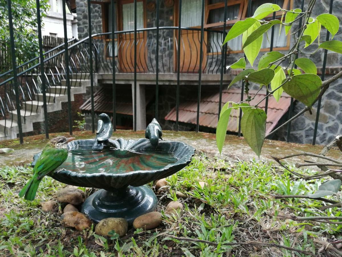 Wildernest Bed & Breakfast Thekkady Exterior photo